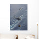 Two Mh-60s Sea Hawk Wall Decal Design 2