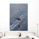 Two Mh-60s Sea Hawk Wall Decal Design 2
