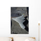 Experimental X-47b Unmanned Combat Wall Decal