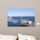 Uss Mahan Fires 5-inch Wall Decal