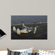 Mv-22 Osprey Receives Cargo Wall Decal