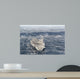 Uss George Hw Bush Wall Decal Design 2
