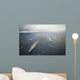 George Washington Strike Group Wall Decal