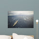 George Washington Strike Group Wall Decal