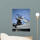 Airman Cleans Canopy F Wall Decal
