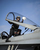 Airman Cleans Canopy F Wall Decal