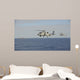 Two Mh-60 Sea Hawk Wall Decal