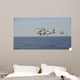 Two Mh-60 Sea Hawk Wall Decal