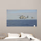 Two Mh-60 Sea Hawk Wall Decal
