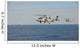 Two Mh-60 Sea Hawk Wall Decal