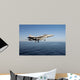 F A-18c Hornet Flies Wall Decal