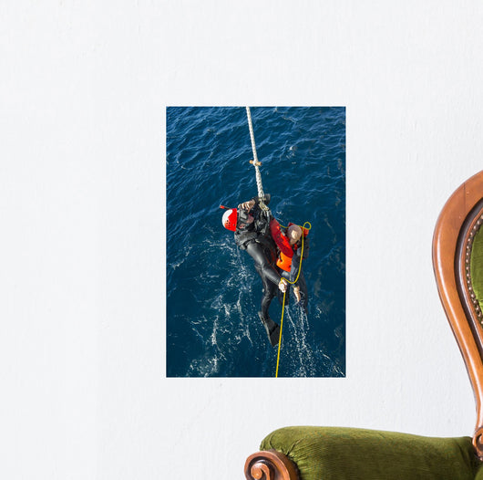 Seaman Participates Search and Wall Decal