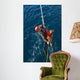 Seaman Participates Search and Wall Decal