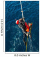 Seaman Participates Search and Wall Decal