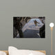 Aircrewman Jumps from C2-a Wall Decal