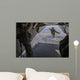 Aircrewman Jumps from C2-a Wall Decal