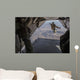 Aircrewman Jumps from C2-a Wall Decal