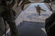 Aircrewman Jumps from C2-a Wall Decal