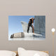 Airman Washes F A-18f Wall Decal