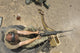 Gunner's Mate Fires M2 Wall Decal