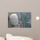 Close-in Weapons System during Wall Decal