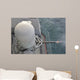 Close-in Weapons System during Wall Decal