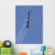 Us Navy Flight Demonstration Wall Decal Design 2