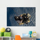 Pararescueman and Rescuee Are Wall Decal