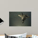 Us Air Force F-22 Wall Decal
