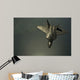Us Air Force F-22 Wall Decal