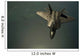 Us Air Force F-22 Wall Decal