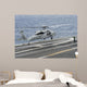 Sailor Directs Mh-60s Sea Wall Decal