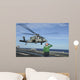 Airman Salutes as Mh-60s Wall Decal