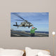 Airman Salutes as Mh-60s Wall Decal