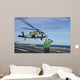 Airman Salutes as Mh-60s Wall Decal