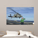 Airman Salutes as Mh-60s Wall Decal