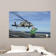 Airman Salutes as Mh-60s Wall Decal