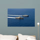 Uss Coronado and Usns Wall Decal