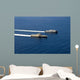 Uss Coronado and Usns Wall Decal