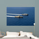 Uss Coronado and Usns Wall Decal
