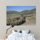 Midshipmen Hiking Mountain Warfare Wall Decal