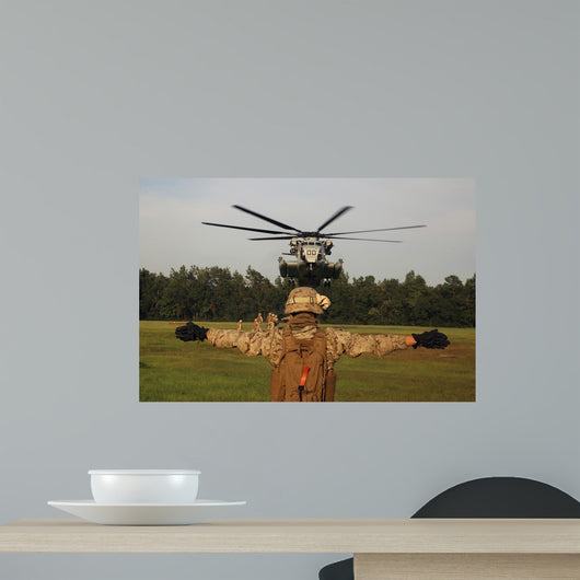 Landing Support Specialist Guides Wall Decal