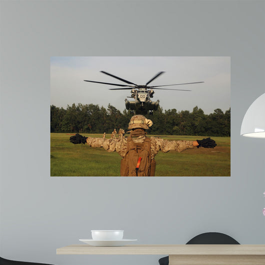 Landing Support Specialist Guides Wall Decal