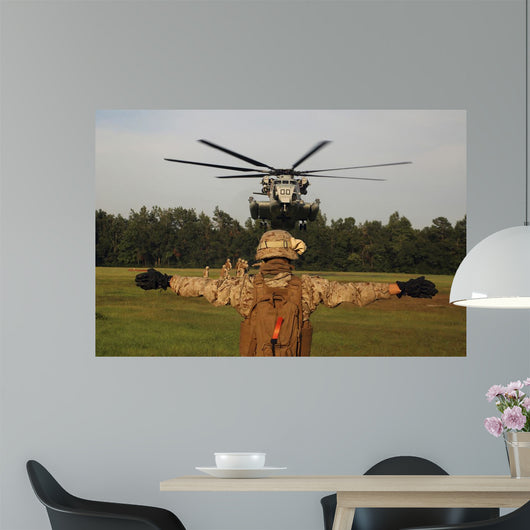 Landing Support Specialist Guides Wall Decal