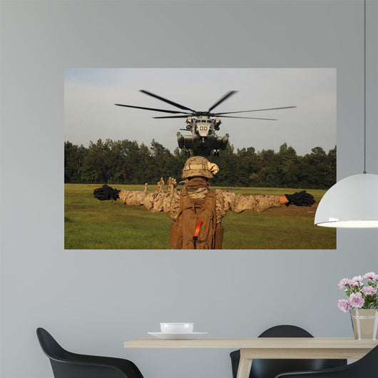 Landing Support Specialist Guides Wall Decal