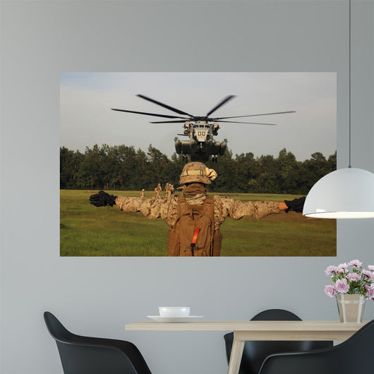 Landing Support Specialist Guides Wall Decal