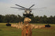 Landing Support Specialist Guides Wall Decal