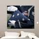 Us Honor Guard Performs Wall Decal
