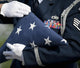 Us Honor Guard Performs Wall Decal