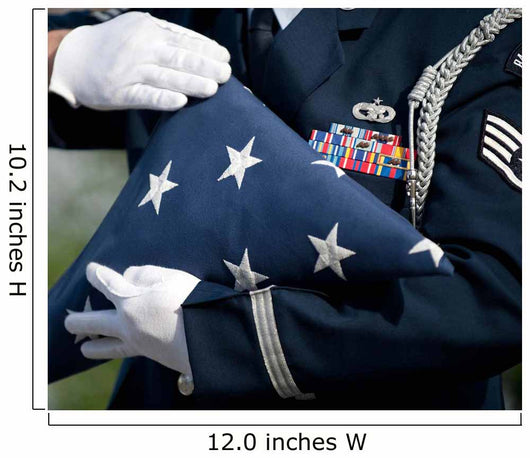 Us Honor Guard Performs Wall Decal